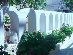 Отель Dilino